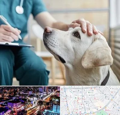 کلینیک دامپزشکی در منظریه رشت