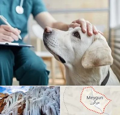 کلینیک دامپزشکی در میگون