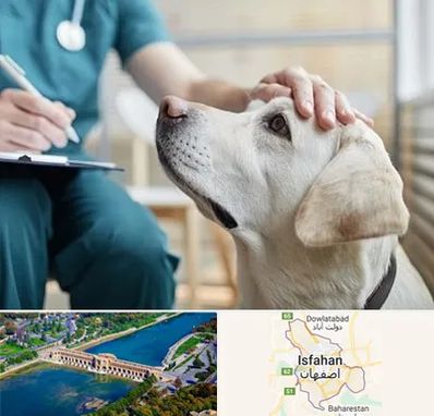 کلینیک دامپزشکی در اصفهان