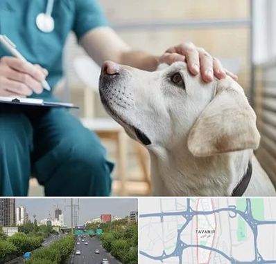 کلینیک دامپزشکی در توانیر