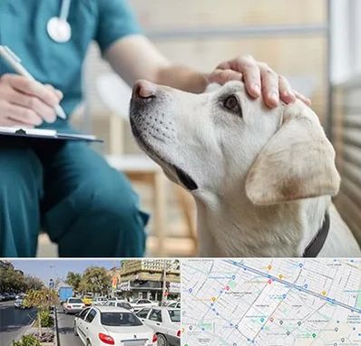 کلینیک دامپزشکی در مفتح مشهد