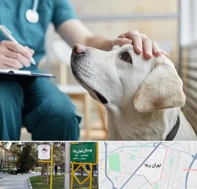 کلینیک دامپزشکی در تهران ویلا