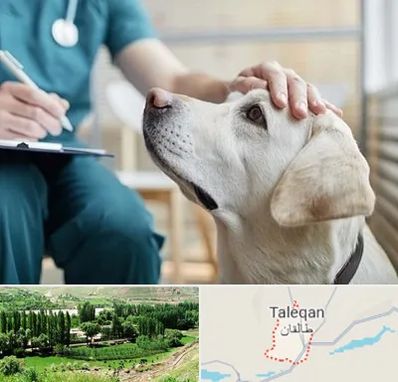 کلینیک دامپزشکی در طالقان