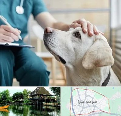 کلینیک دامپزشکی در صومعه سرا