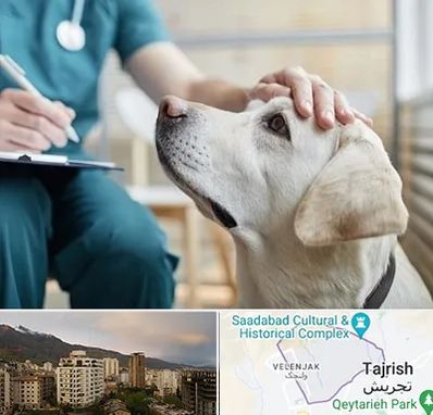 کلینیک دامپزشکی در زعفرانیه