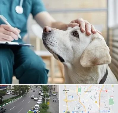 کلینیک دامپزشکی در ستارخان