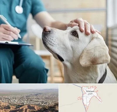 کلینیک دامپزشکی در اسفراین