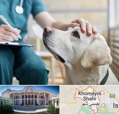 کلینیک دامپزشکی در خمینی شهر