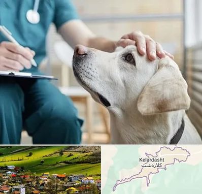 کلینیک دامپزشکی در کلاردشت