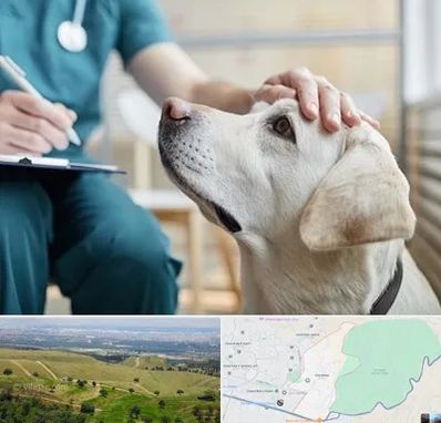 کلینیک دامپزشکی در سوهانک