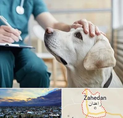 کلینیک دامپزشکی در زاهدان