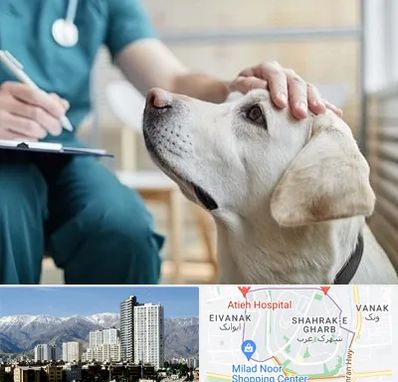 کلینیک دامپزشکی در شهرک غرب تهران