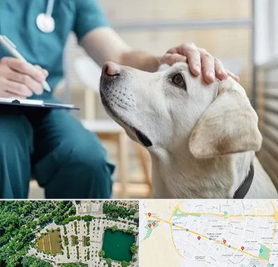 کلینیک دامپزشکی در وکیل آباد مشهد