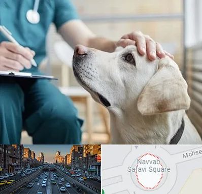 کلینیک دامپزشکی در نواب