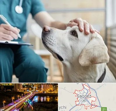 کلینیک دامپزشکی در سقز