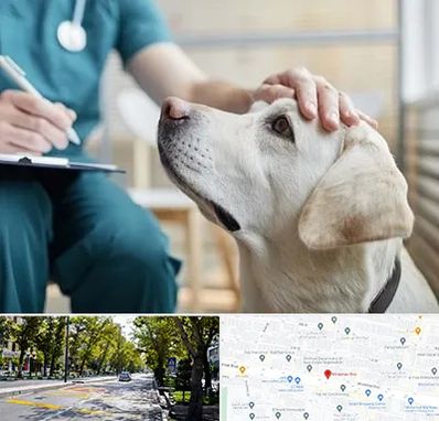 کلینیک دامپزشکی در میرداماد