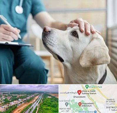 کلینیک دامپزشکی در قصرالدشت شیراز