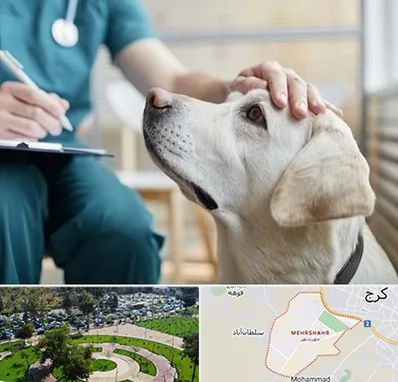 کلینیک دامپزشکی در مهرشهر کرج