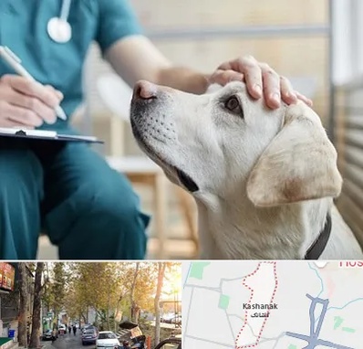 کلینیک دامپزشکی در کاشانک