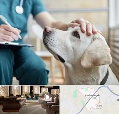 کلینیک دامپزشکی در چهاردانگه