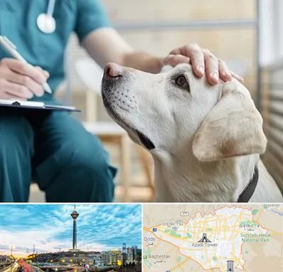 کلینیک دامپزشکی در تهران