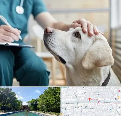 کلینیک دامپزشکی در هشت بهشت اصفهان