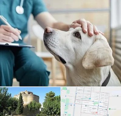 کلینیک دامپزشکی در مرداویج اصفهان