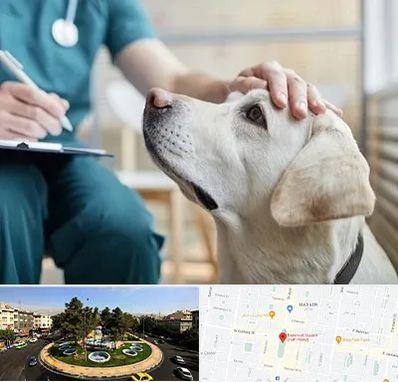 کلینیک دامپزشکی در هفت حوض