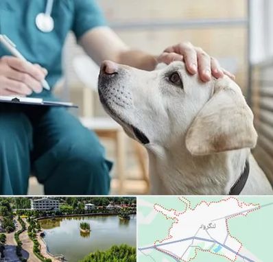 کلینیک دامپزشکی در لنگرود