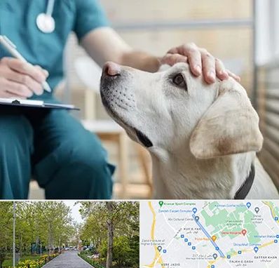 کلینیک دامپزشکی در قدوسی غربی شیراز