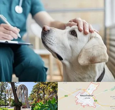 کلینیک دامپزشکی در نیشابور