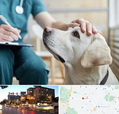 کلینیک دامپزشکی در بلوار سجاد مشهد