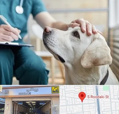 کلینیک دامپزشکی در رودکی
