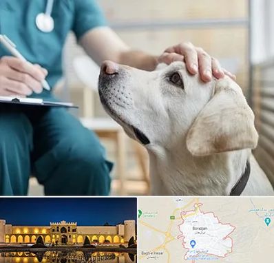 کلینیک دامپزشکی در برازجان