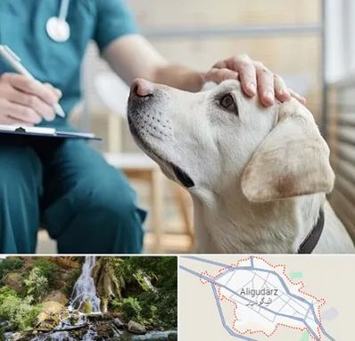 کلینیک دامپزشکی در الیگودرز