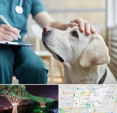 کلینیک دامپزشکی در منطقه 3 تهران