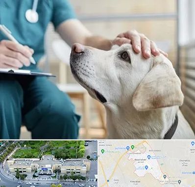 کلینیک دامپزشکی در نسیم شهر