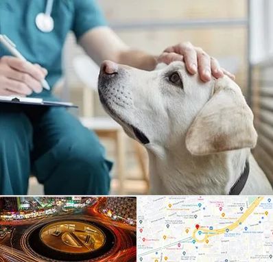 کلینیک دامپزشکی در میدان ولیعصر