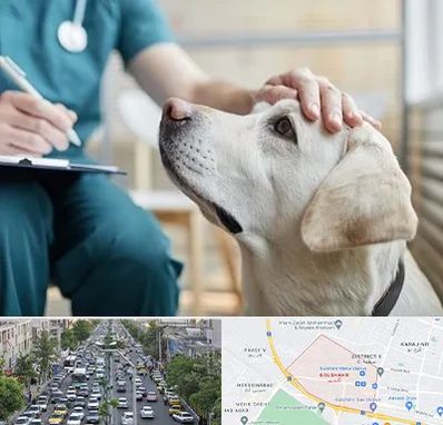 کلینیک دامپزشکی در گلشهر کرج