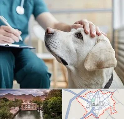 کلینیک دامپزشکی در دامغان