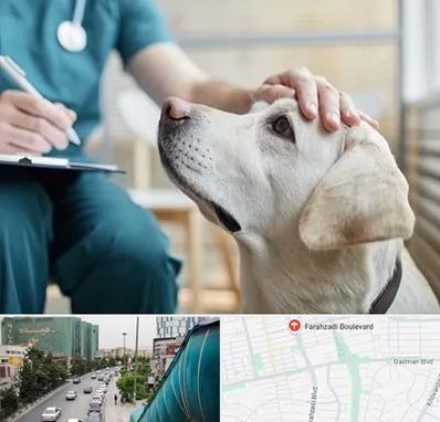 کلینیک دامپزشکی در بلوار فرحزادی