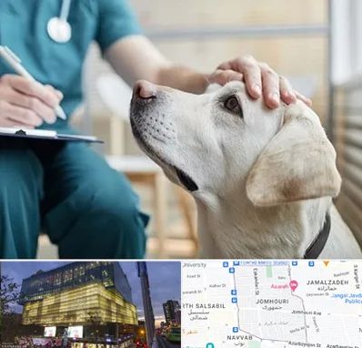 کلینیک دامپزشکی در جمهوری