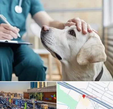 کلینیک دامپزشکی در لاله پارک تبریز