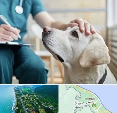 کلینیک دامپزشکی در رامسر