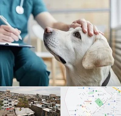 کلینیک دامپزشکی در شمیران نو