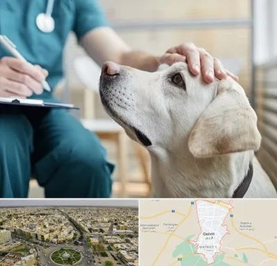 کلینیک دامپزشکی در قزوین