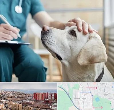 کلینیک دامپزشکی در سهند تبریز
