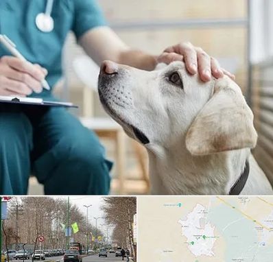 کلینیک دامپزشکی در نظرآباد کرج