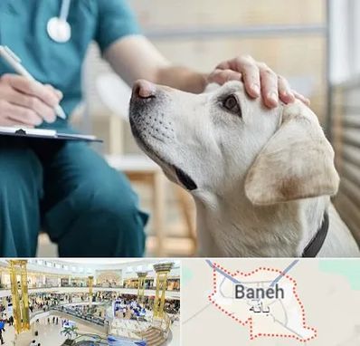 کلینیک دامپزشکی در بانه