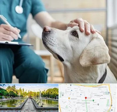 کلینیک دامپزشکی در سرسبز